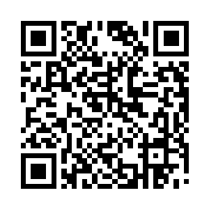 无论创没创出都要离开……我能做的只有这些二维码生成