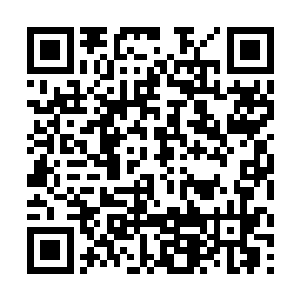 无论在军方还是民间甚至各个宗派里都有很深的人脉二维码生成