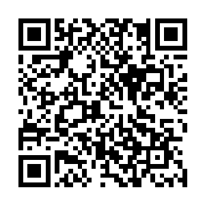 无论在淡水里还是海水里都能够存活的仙女鱼缓慢的游动着二维码生成