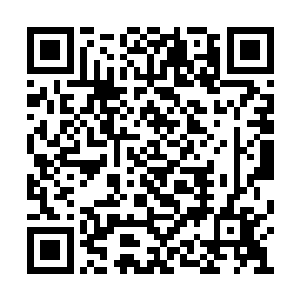 无论大宇宙战场还是轮回狱都很难独自将它击破二维码生成