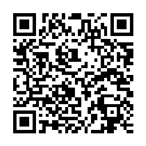 无论如何也不可能战胜相当于八劫真神中阶层次的中等白骨将军二维码生成