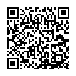 无论如何也不能让一直照顾自己的疏影姐姐去陈家做奴婢二维码生成