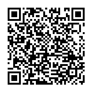 无论如何也没想到以赌城三少的身家居然会娶一个与他身份那样格格不入的女人二维码生成