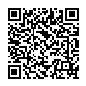 无论如何就是骗不了熟识周家祖孙的秦林和阿沙二维码生成