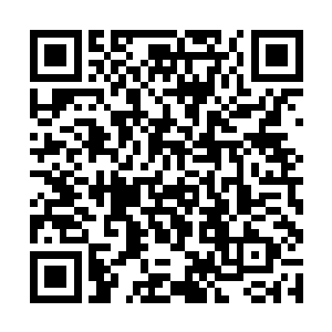 无论如何都不会把大弟亲事权利交到闻三夫人的手里二维码生成