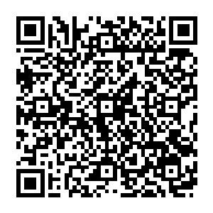 无论如何都不可能单凭自己就适应这样璀璨和辽阔的未来即便人类进入全民大修炼的时代二维码生成