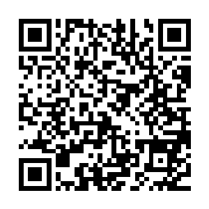 无论如何都不可能是通天榜第四左广海和朱金泰以及齐平的对手二维码生成