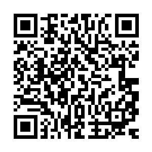 无论帝都还是环首都圈诸世界还是整片星海中央的所有大千世界二维码生成