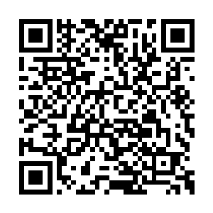 无论怎么样打怎么样攻击都对他们来说是无效的二维码生成