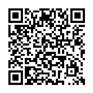 无论怎样的安慰都无法让她放下曾经的风雨与共二维码生成