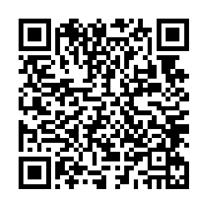 无论是东罗峰琼进山等人还是剑峰的弟子都不得不后退二维码生成