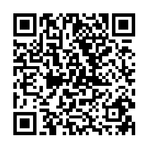 无论是为了躲避那位大人物还是为了给人皇前辈报仇二维码生成