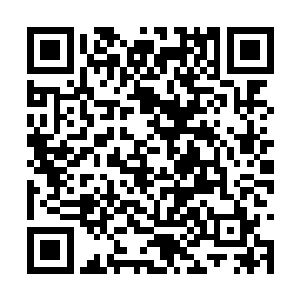 无论是人族的将士还是那些在外围拼命进攻的狼骑二维码生成