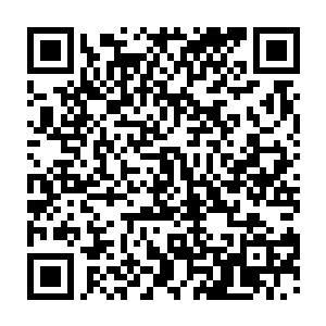 无论是任何一个高层都无法想透到底是什么人胆敢在这种时候入侵他苏家二维码生成