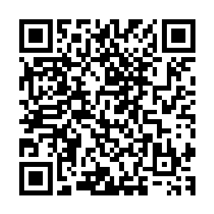 无论是修为的提升还是肉身的晋升都不是这一次的最大的收获二维码生成