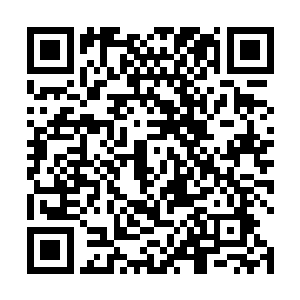 无论是傅天彪还是傅天虎都是非常不愿意和他们为敌的二维码生成