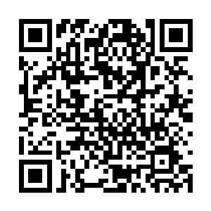 无论是剑皇还是杨小勇本身都不是不死神帝的对手二维码生成