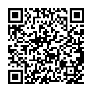 无论是势和意志甚至是传说当中的真意都能阻拦二维码生成