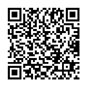 无论是历史还是底蕴都要比在场的任何一个势力强大二维码生成