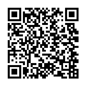 无论是司空符神主还是虚无极符神主都对他不屑一顾二维码生成