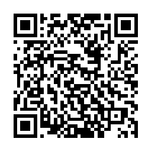 无论是司马云还有紫月家族的大长老都是不由的一愣二维码生成