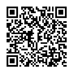 无论是同知大人还是生病的老百姓亦或者赶考的学子二维码生成