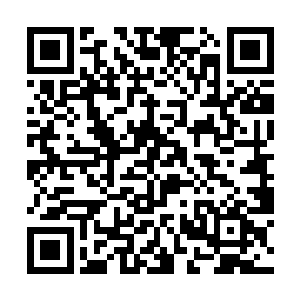 无论是大公子亦或是他的这些兄弟皆是能力超群之辈二维码生成