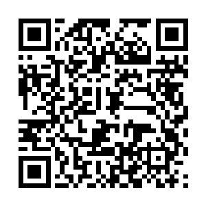 无论是太玄宗还是许紫烟本身都不会再有反抗的心思二维码生成