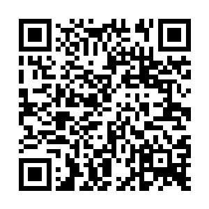 无论是对于乱局的感叹还是对于这天下的幸灾乐祸二维码生成