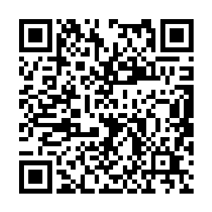 无论是强盗还是被打劫的修士都没有人理会许紫烟二维码生成