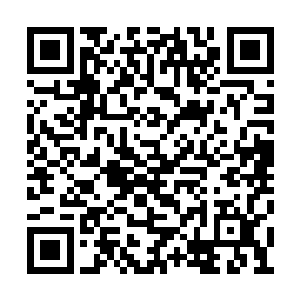 无论是我的名声亦或者战力都足以让他们服气了二维码生成