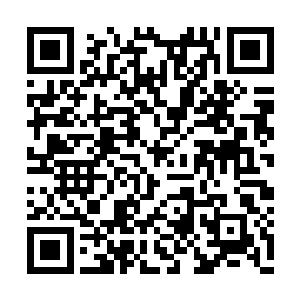 无论是批文审核还是国家在政策和经济上的扶持二维码生成