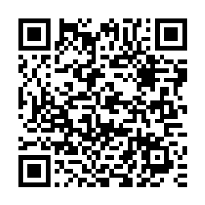 无论是新的最终裁决官还是元老院的元老们都唯我们马首是瞻二维码生成