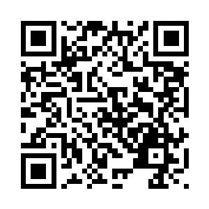 无论是暮色还是李战只有一个感觉二维码生成