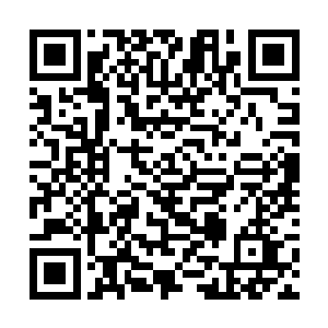 无论是朱砂丹的主人还是英华殿以及现在的汶水唐家二维码生成