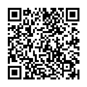 无论是杨戬还是杨风脸上都是露出了一抹疑惑的神情二维码生成