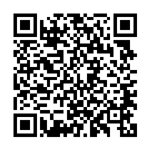 无论是杨戬还有龙族的强者每个人的脸上都露出了兴奋的神情二维码生成