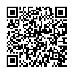 无论是极道门的烈风城还是我们乾天宗的墨海城二维码生成