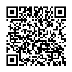 无论是睡觉也好还是钓鱼总好过现在无所事事吧二维码生成