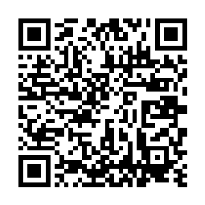 无论是神农庄里的芍药还是那极品野春显露出来的底蕴二维码生成