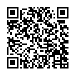 无论是神通还是能力还是境界都有了天翻地覆的提高二维码生成