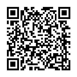 无论是组织部还是县委常委会一般说来都不会挑剔什么二维码生成