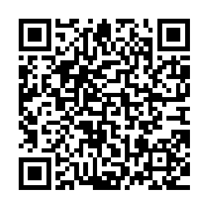 无论是蛟神殿四神将还是天灵殿三大执法长老都是位高权重之人二维码生成