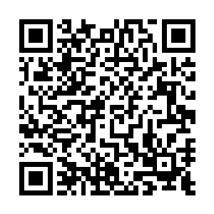 无论是语音语调还是语速……都跟冬瓜李几乎是一模一样的二维码生成