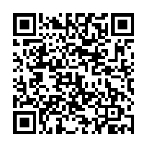 无论是谁只要拥有了这个宝藏就一定能成为最伟大的王二维码生成