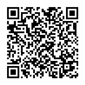 无论是跟γ死战的狱寺隼人和笹川了平还是被幻骑士阻截的山本武和拉尔二维码生成