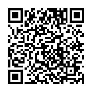 无论是这些线条脸的尸体还是那些被挖掉眼睛的鸟二维码生成