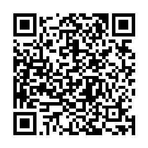 无论是那几个行窃惯偷还是保护伞刘涛都将受到法律的制裁二维码生成