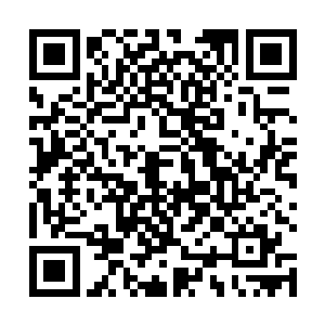 无论是郎坚白想从这次博物馆改扩建中贪墨点好处也好二维码生成