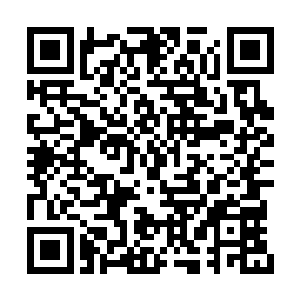 无论是野兽还是蛮兽因为要寻找食物都异常活跃二维码生成